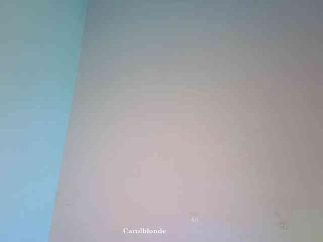 Charlotte-glasses Charlotte-glasses