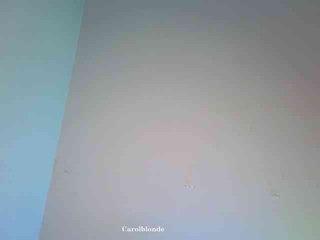 Charlotte-glasses Charlotte-glasses