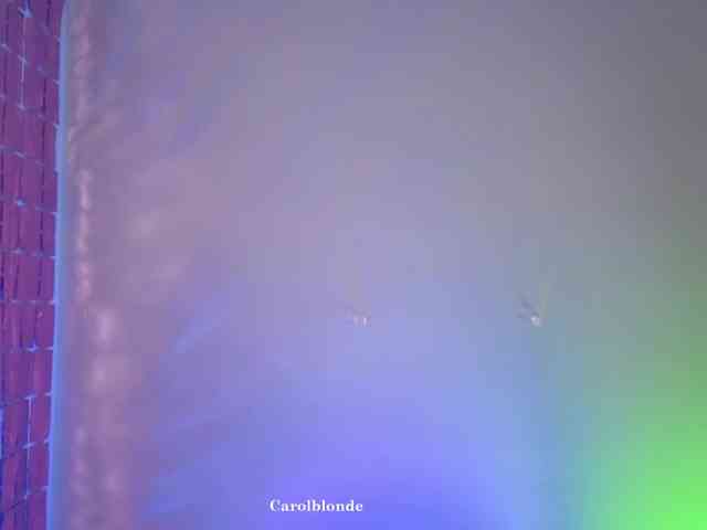 Carolblonde webcam