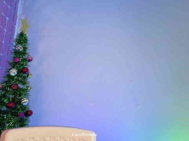 Charlotte-glasses Charlotte-glasses