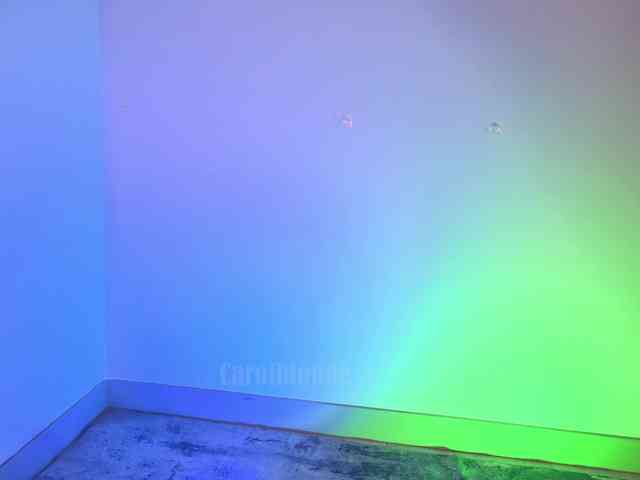 Carolblonde webcam