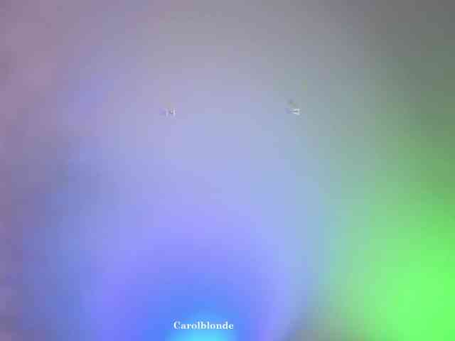 Carolblonde webcam