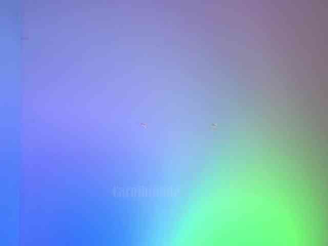 Carolblonde webcam