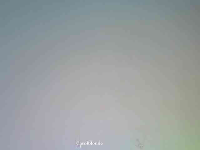 Carolblonde webcam