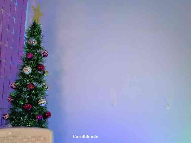 Charlotte-glasses Charlotte-glasses