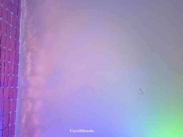 Charlotte-glasses Charlotte-glasses