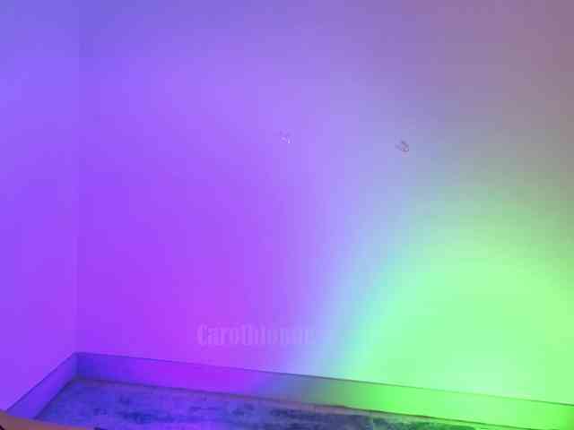 Carolblonde webcam