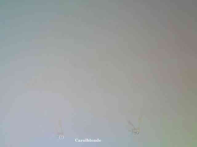 Charlotte-glasses Charlotte-glasses