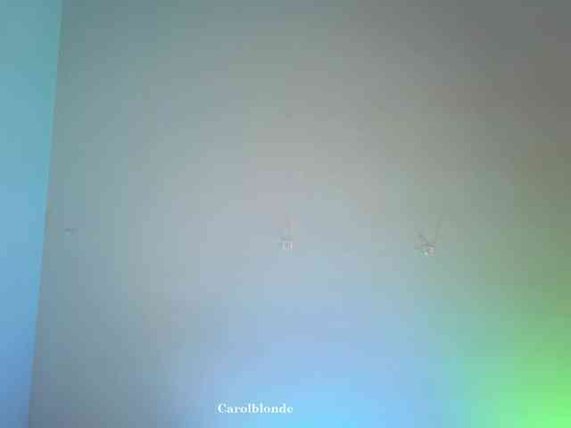 Charlotte-glasses Charlotte-glasses