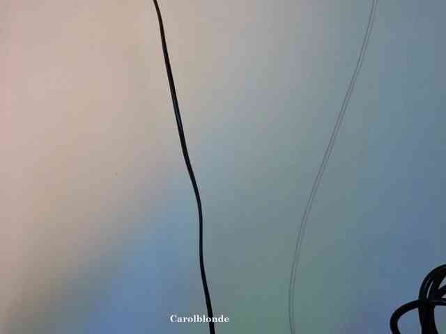 Charlotte-glasses Charlotte-glasses