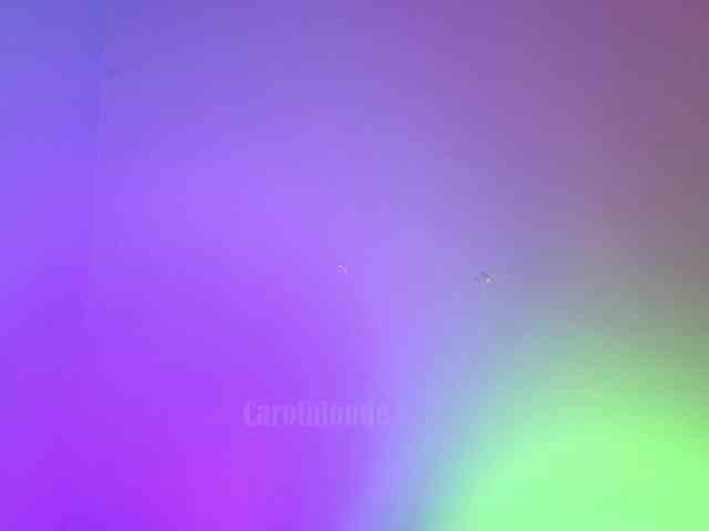 Carolblonde webcam