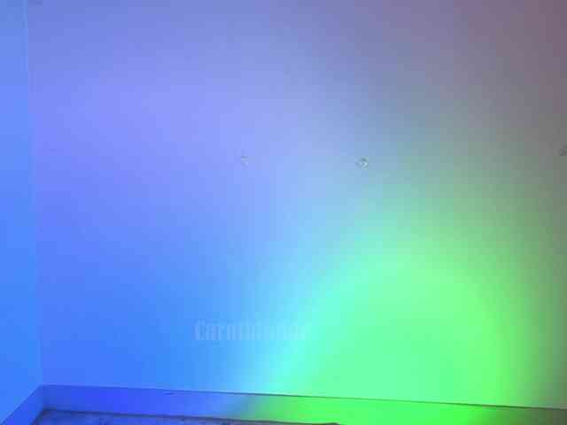 Carolblonde webcam