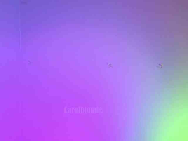 live camsex Charlotte-glasses