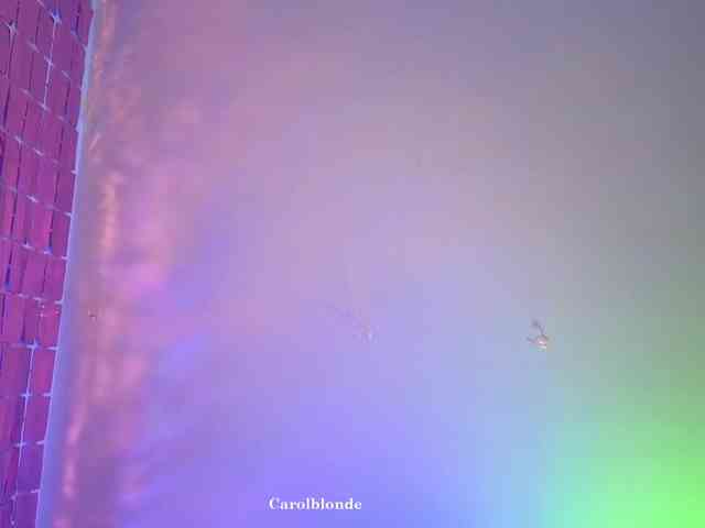 Charlotte-glasses Charlotte-glasses