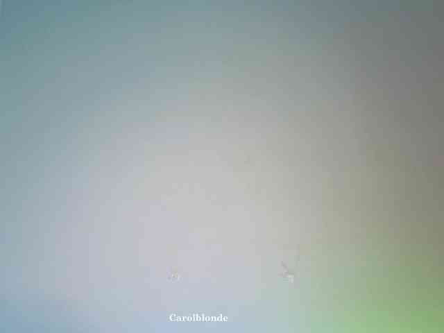 Charlotte-glasses Charlotte-glasses