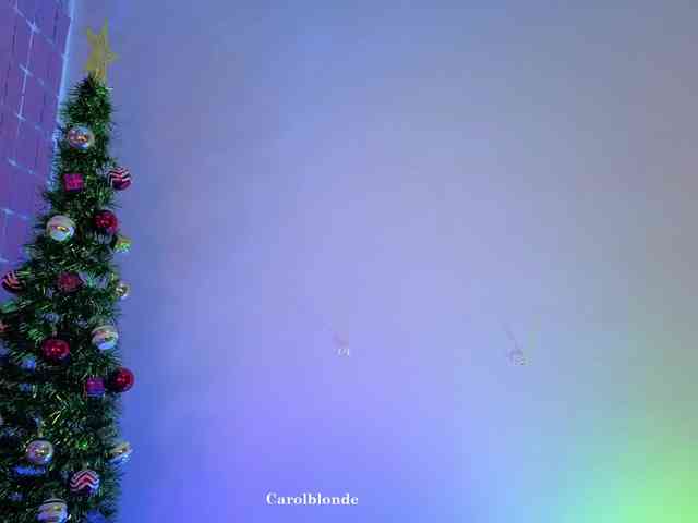 Charlotte-glasses Charlotte-glasses