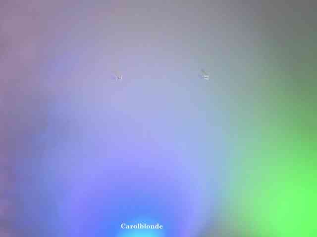 Carolblonde webcam