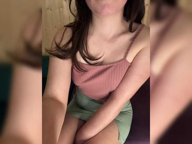 Preview of evasteels