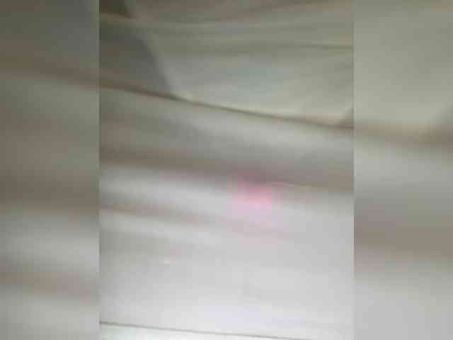 EvaSteels webcam