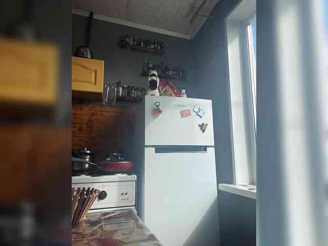 HARIZZMA webcam