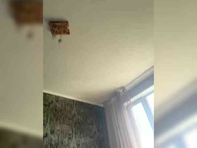 HARIZZMA webcam