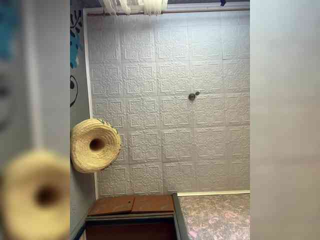 HARIZZMA webcam