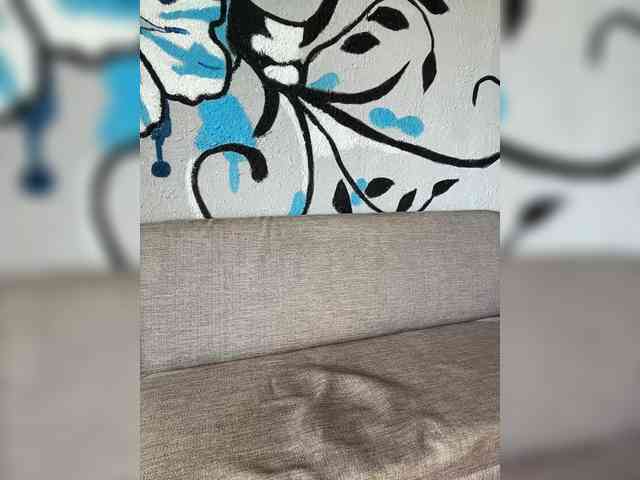 HARIZZMA webcam