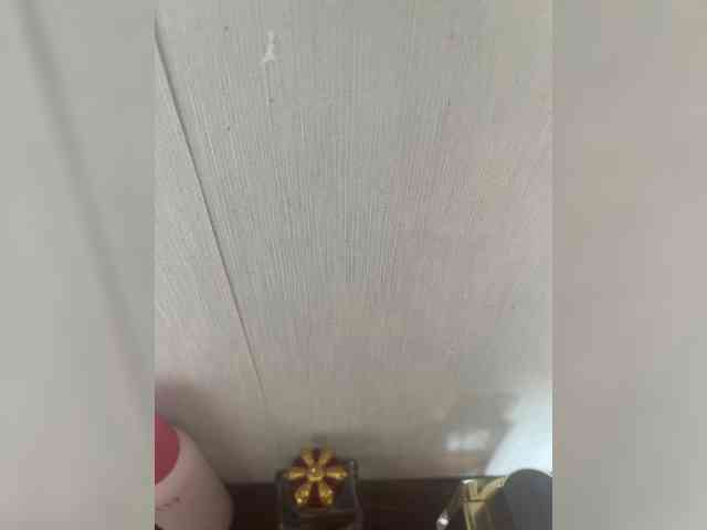 HARIZZMA webcam