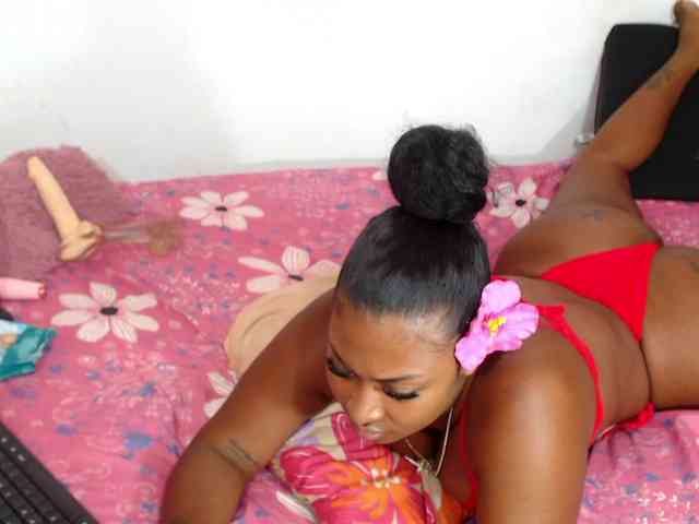 CataleyaRosex CataleyaRosex