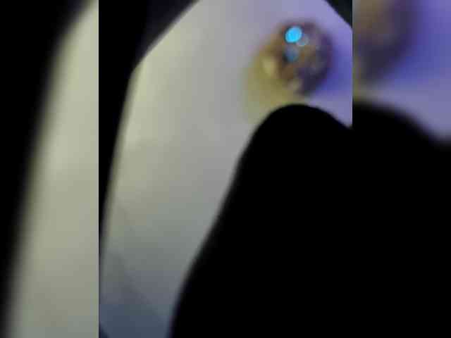DiiRolla webcam