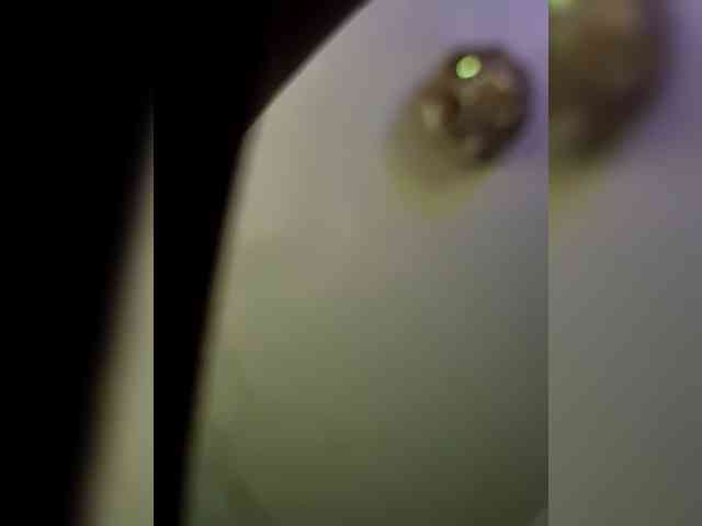 DiiRolla webcam