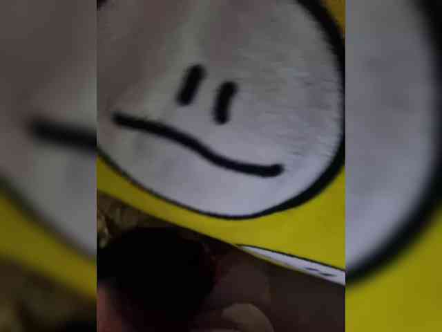 DiiRolla webcam