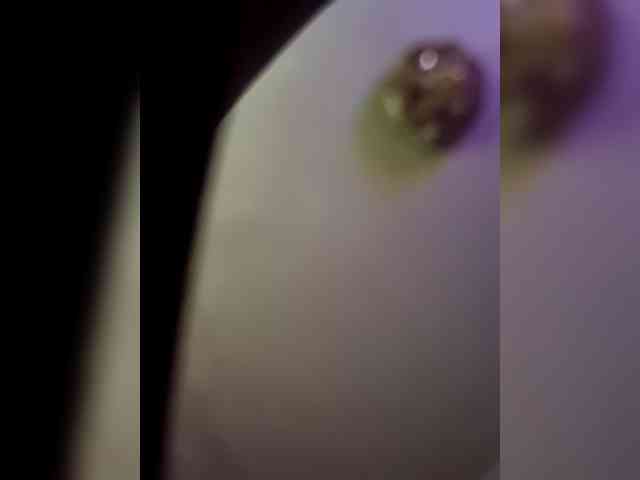 DiiRolla webcam
