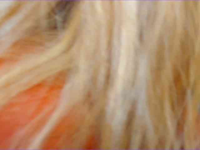 AnnesWhite webcam