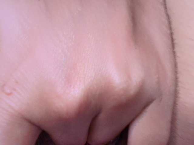 Preview of bulma-hot-