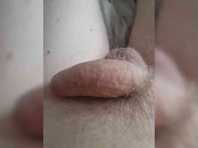 Cheburek68 Cheburek68