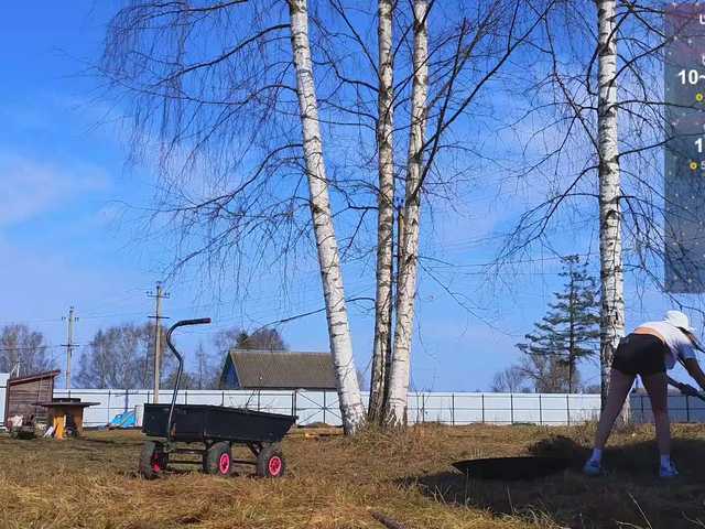 misss-vikki's BongaCams show and profile