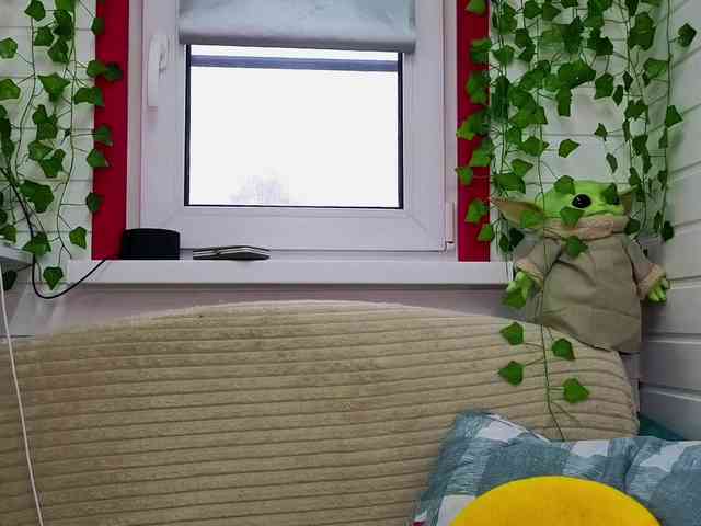 misss-vikki webcam