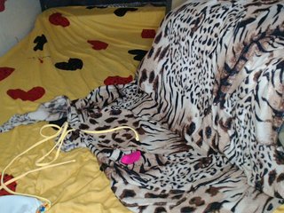 lexianna818 Porn Show