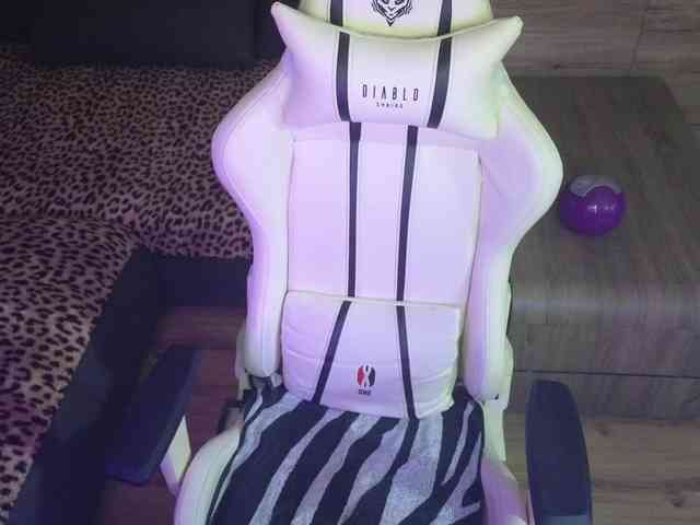 Molligspielle webcam