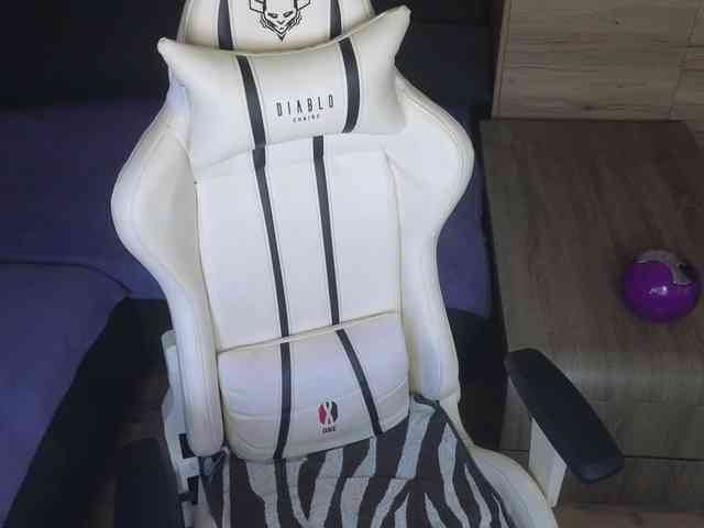 Molligspielle webcam