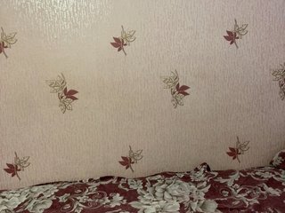 Black__Fox Porn Show