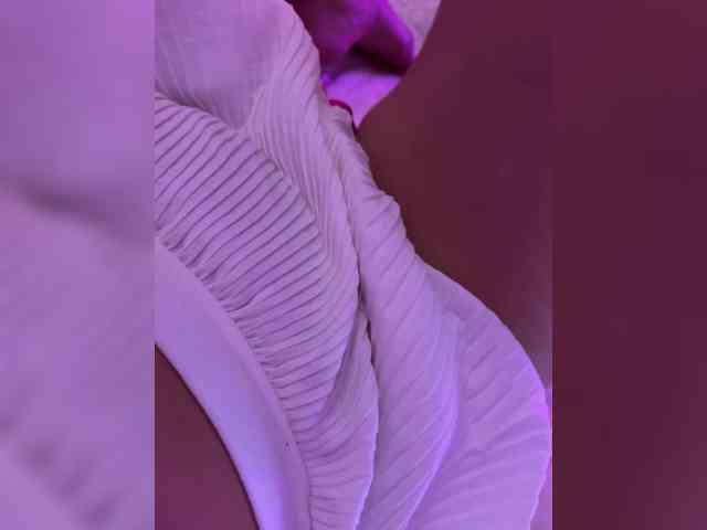 _UkRaiNo4Ka_ webcam