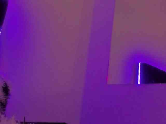 SashaGold1999 webcam