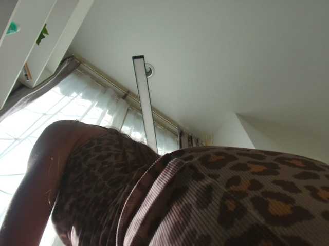 Flexy-Cat's BongaCams show and profile