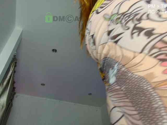 Flexy-Cat webcam