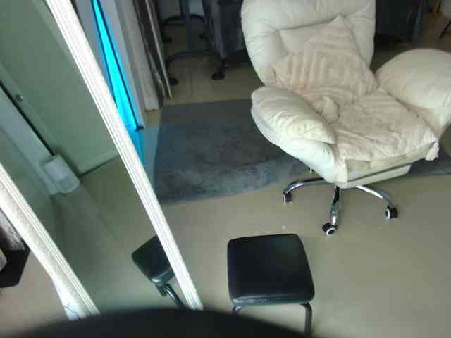 Flexy-Cat webcam