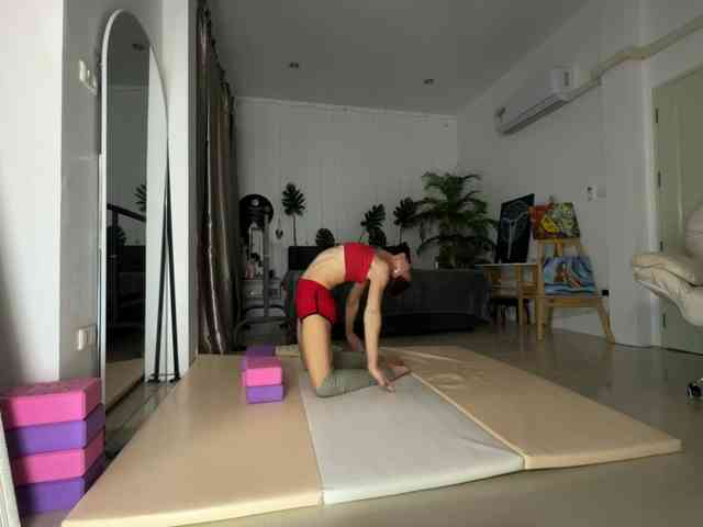 Flexy-Cat webcam