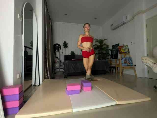 Flexy-Cat webcam