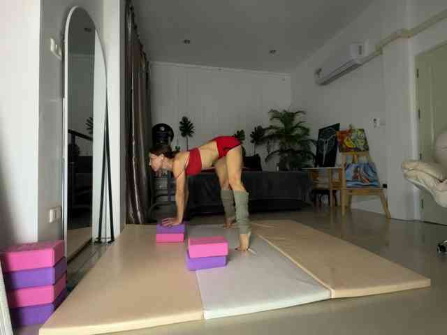Flexy-Cat webcam